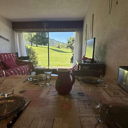 Apartment Au Pied Des Pistes A Notre-dame-de-bellecombe, 4 Pers, Tennis Et Piscine L'ete - Fr-1-595-94 *
